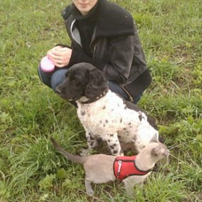 Robert Wright - Twitter Profile Picture of Robert Wright (@6hijGjfs7AYr5A2) on Twitter