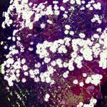 Profile Picture of Janet Gorrell (@janetgorrell) on Instagram