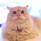 Profile Picture of   Ghadi M Al Hussain... (@gmoy19) on Tiktok