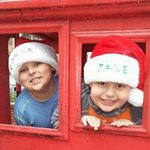 Profile Picture of Cindy Barnett Newcomb (@cindynewcomb7) on Instagram