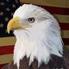 Profile Picture of Caleb Roker (@@user98155222983897) on Tiktok