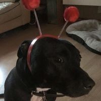 Profile Picture of Lauri Randall (@lauri-randall-1) on Quora