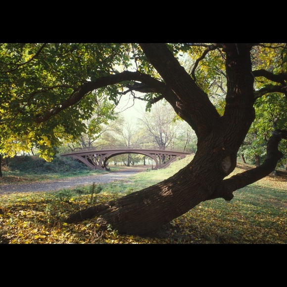 Profile Picture of Ahmeth Toure (@ahmeth) on Poshmark