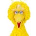 Profile Picture of Andrew Primmer (@andrewp01241906) on Pinterest
