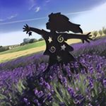 Profile Picture of Karen Grimaud (@bluemountainlavenderfarm) on Instagram
