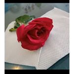 Profile Picture of Shravani Chingale (@shravanichingale) on Instagram