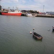 Profile Picture of Daniel Cabrales (@shoppingeando) on Twitter