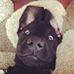 Profile Picture of Mike Almeida (@mike.almeida.756) on Facebook