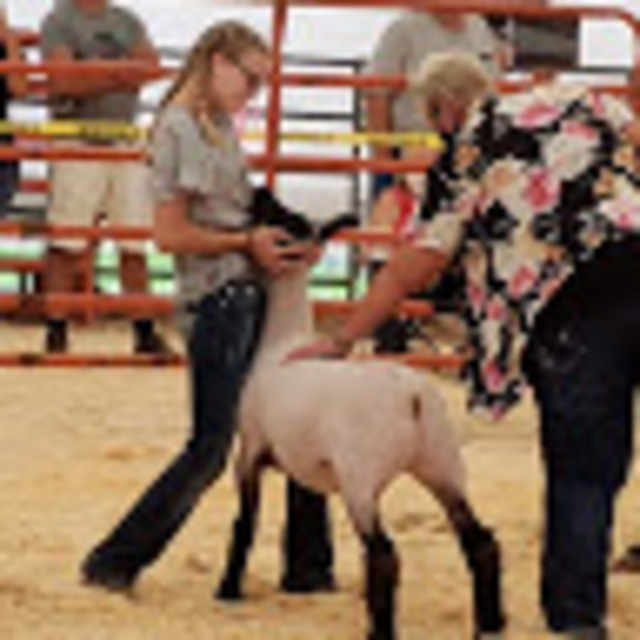 Profile Picture of Julia Haviland (@jhaviland623) on Poshmark