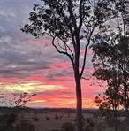 Profile Picture of Brandon Bradley (@brandon.bradley.882279) on Facebook