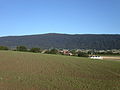 Profile Picture of Ballenson Wikipedia