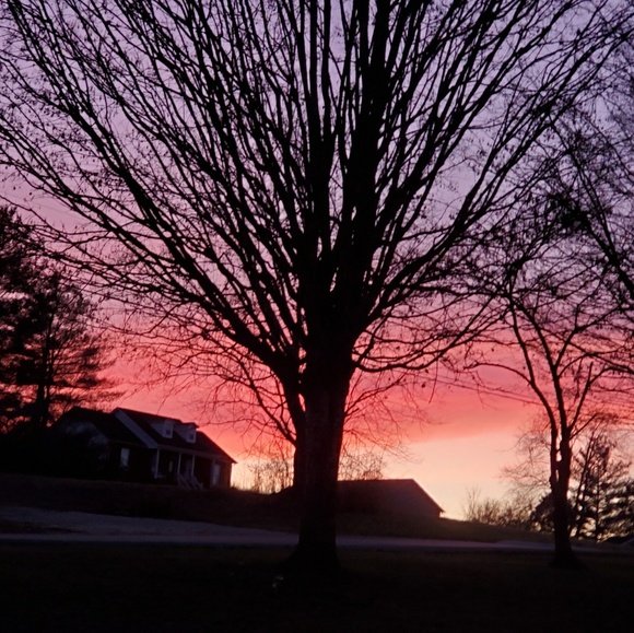 Profile Picture of Tabatha Daniels (@t1daniels) on Poshmark