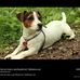 Profile Picture of Robert Trogdon (@robert.trogdon.71) on Facebook