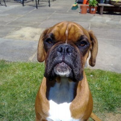 Bryan Easton - Twitter Profile Picture of Bryan Easton (@bryanteaston) on Twitter