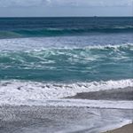 Andrew Rief - Instagram Profile Picture of Andrew Rief (@savethereef3000) on Instagram