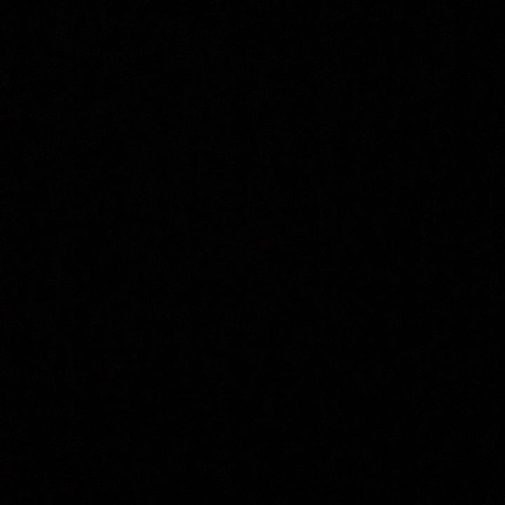 Profile Picture of ariel (@arielnotail) on Tiktok