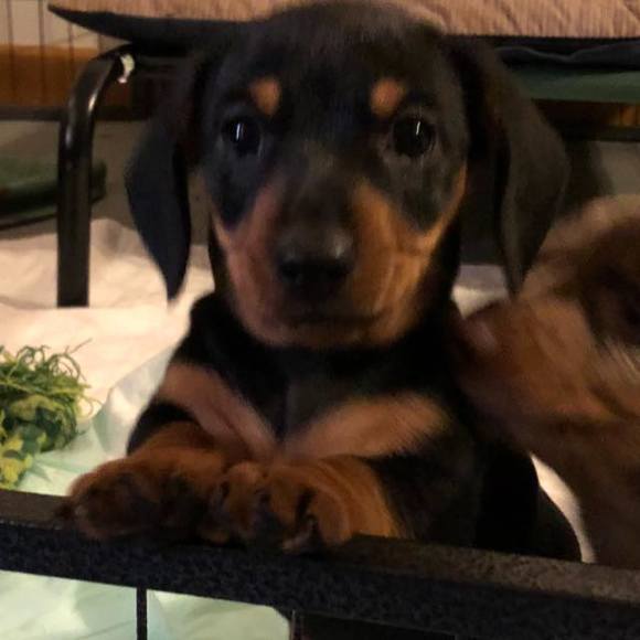 Profile Picture of Paulette Klick (@pauletteklick) on Poshmark