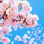 Profile Picture of 🌈Nadia D'Urso🌸 (@nady_kim.taetae) on Instagram