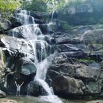 Profile Picture of Steven Weibel (@steven_weibel) on Instagram