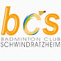 Profile Picture of BCSchwindratzheim (@@BCSchwindratzheim) on Tiktok