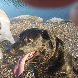 Profile Picture of David Jon Van Roekel (@david.j.vanroekel) on Facebook