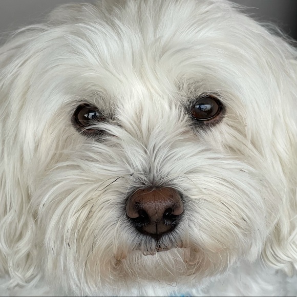 Profile Picture of Joanne Smith (@hellojoey68) on Poshmark