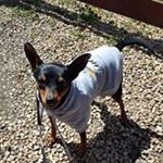 Profile Picture of Janet hodge (@hodge5713) on Instagram