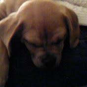 Profile Picture of Benjamin Abbott (@benjaminabbott9499) on Youtube