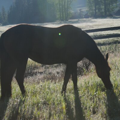 Profile Picture of Bruce Resnick (@BruceResnick) on Twitter