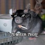 Profile Photo of Tomash_troll (@tomash_troll) on Instagram