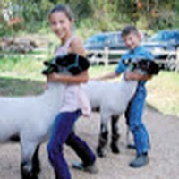 Profile Picture of Allison Warihay (@allison-warihay) on Quora