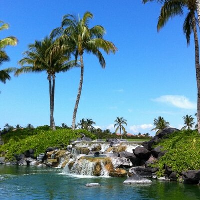 Barry Wallis - Twitter Profile Picture of Barry Wallis (@BMWallis) on Twitter