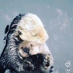 Profile Picture of Alexandra Jensen (@alexijens) on Instagram