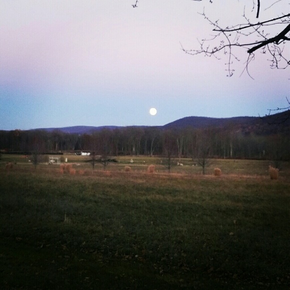 Profile Picture of Elaine Watton (@elainewatton) on Poshmark