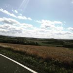 Profile Picture of Leanne Walsh (@leannejwalsh) on Instagram