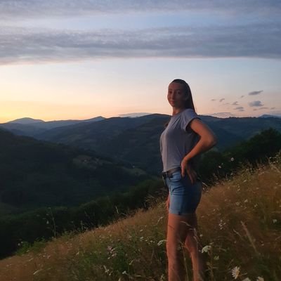 Profile Picture of Borgovan (@Borgovan3) on Twitter