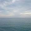 Profile Picture of Howard Chien337 (@31484086889) on Tiktok