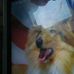 Profile Picture of Michael Fioretti (@michael.fioretti.54) on Facebook
