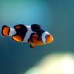 Brian Seymore - Instagram Profile Picture of Brian Seymore (@3cchouston) on Instagram