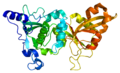 Profile Picture of Calpain-1 catalytic subuniton Wikipedia