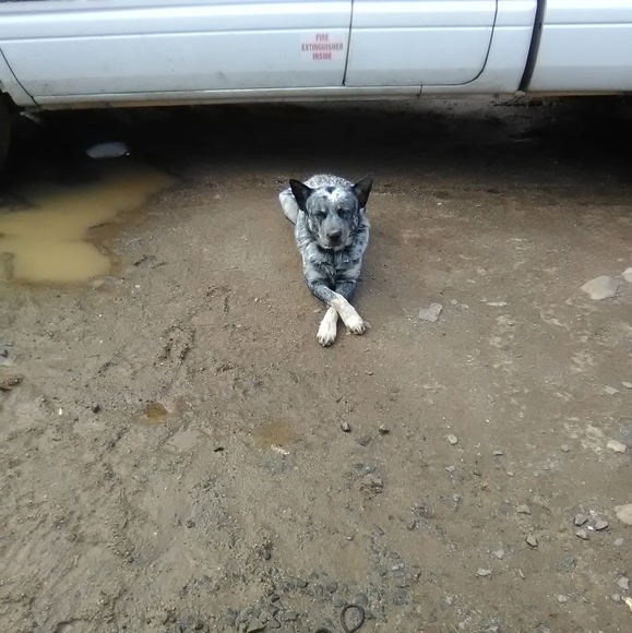 Profile Picture of Ronnie Fukuda (@ronniefukuda) on Poshmark