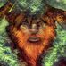 Profile Picture of Robin McCray (@robin.mccray.507) on Facebook
