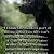Profile Picture of Jonathan Pulliam (@jonathanp4783) on Pinterest