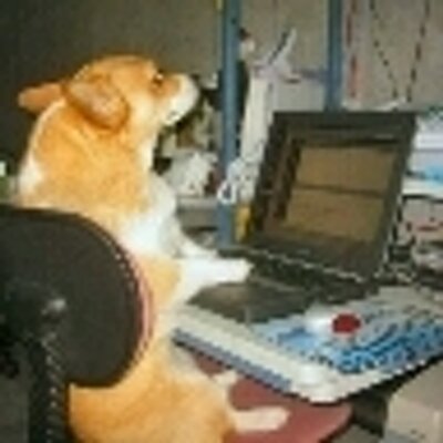 Profile Picture of Kenneth Benoit (@fireaxe16) on Twitter