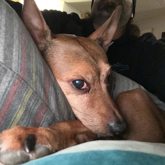 Profile Picture of Darson Balsemer (@darsonb) on Poshmark