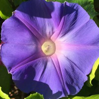 Tabbitha Johnson - Quora Profile Picture of Tabbitha Johnson (@tabbitha-johnson-1) on Quora