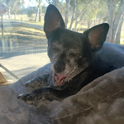 Profile Picture of Joseph Herbert (@campjoe42) on Youtube