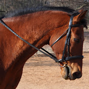 Profile Picture of Laura Pritchett (@laurapritchett5675) on Youtube