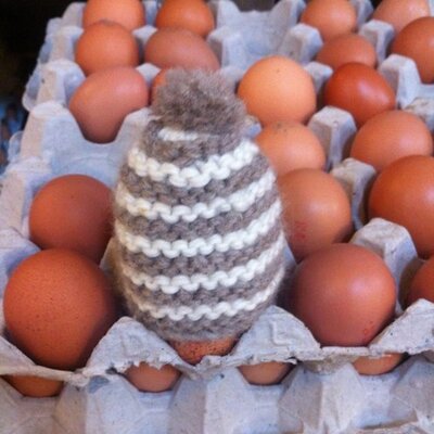 Profile Picture of James Appleton (@liitle_apple) on Twitter