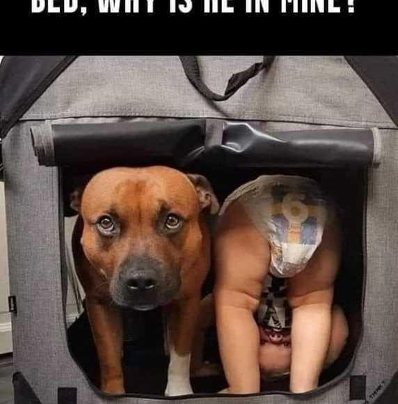 Profile Picture of Mary Hoffman (@sassy_558) on Poshmark